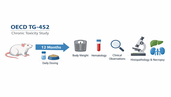 帷鈊檢驗科技股份有限公司_OECD TG-452 慢性毒性研究